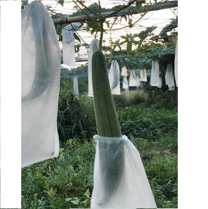 Túi bao bọc mướp có dây rút kích thước 15x60cm số lượng 100 cái - Ảnh 1